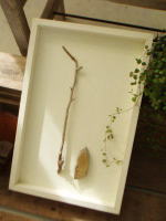 ネイチャーアートフレーム